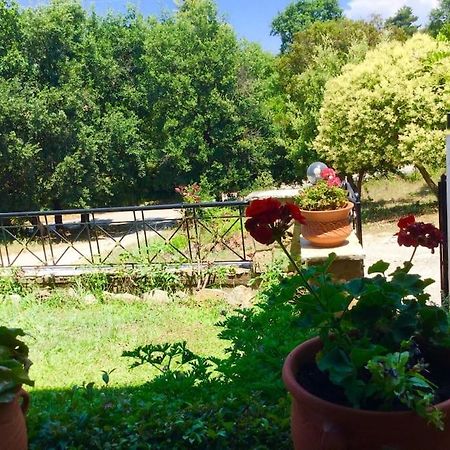 شقة Διαμέρισμα Στην Περιοχή Εθνικής Αντίστασης إيغومينيتسا المظهر الخارجي الصورة